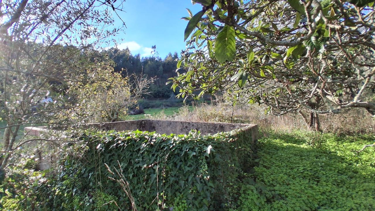 Terreno 2