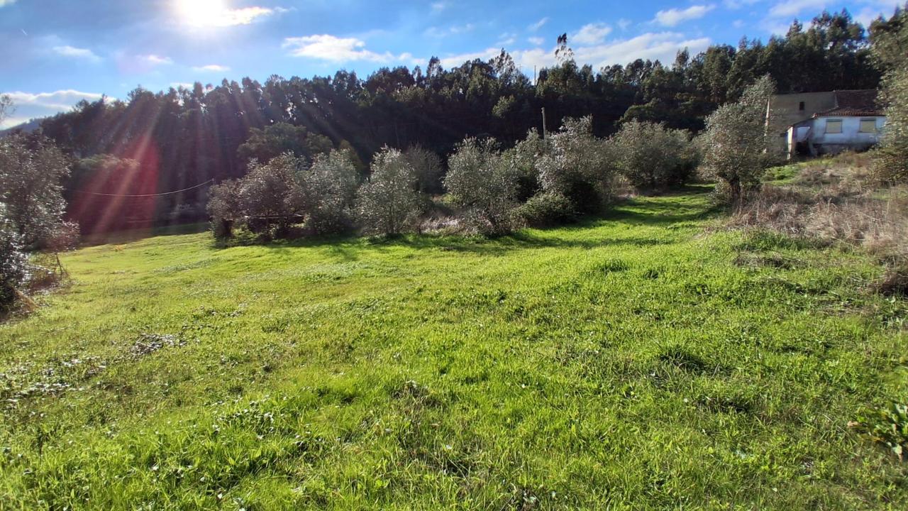 Terreno 4