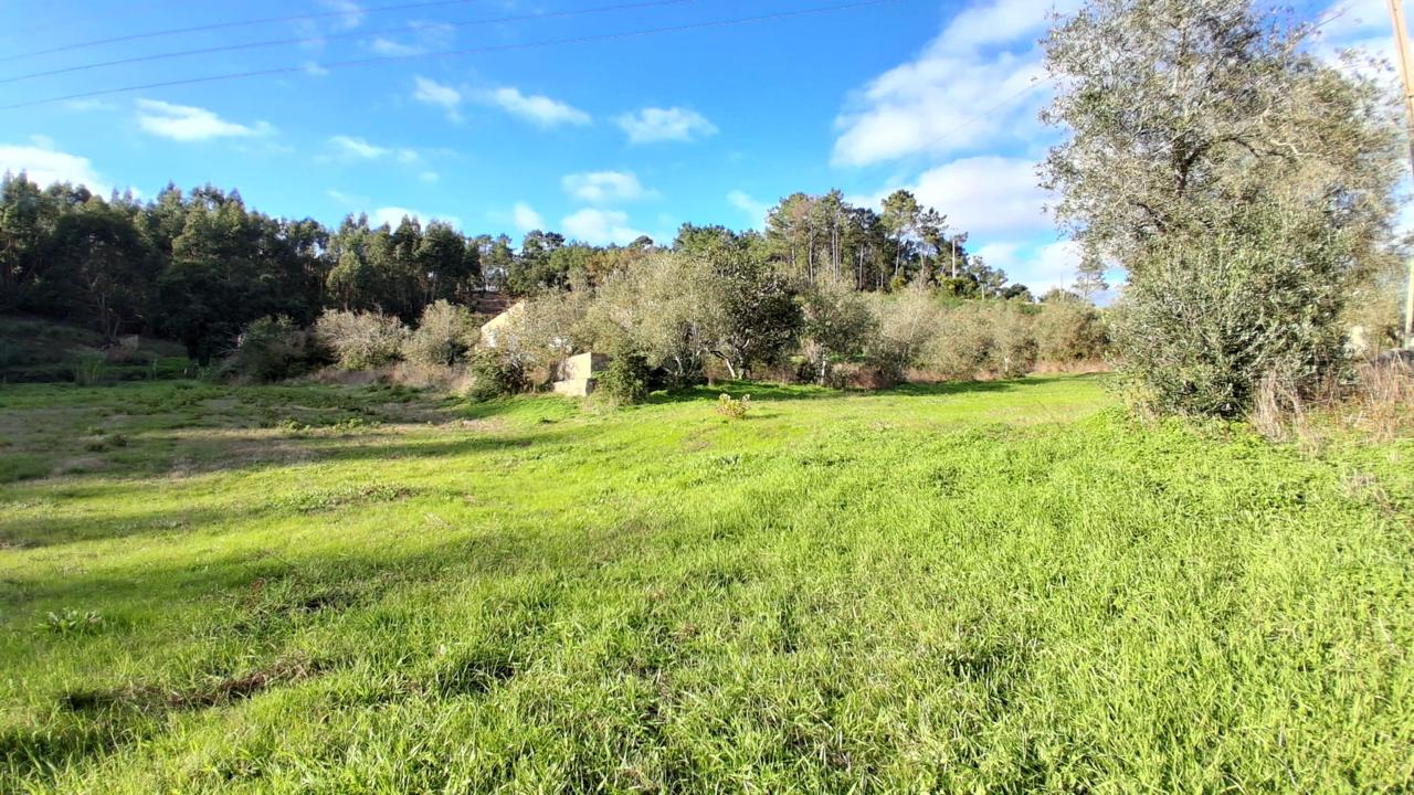 Vista Aerial da Quinta
